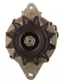 friesen-9051160