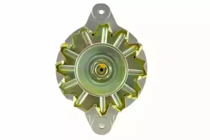 friesen-9051200