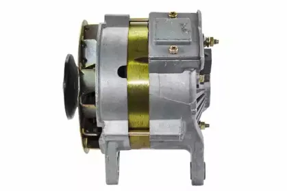 friesen-9051211