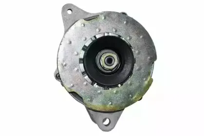 friesen-9051211