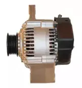 friesen-9051264