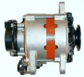 friesen-9051278