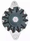 friesen-9051304