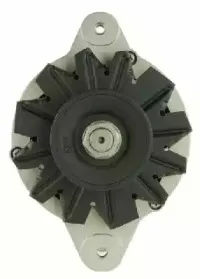 friesen-9051334