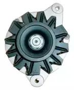 friesen-9051537