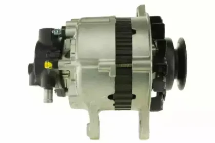 friesen-9051540