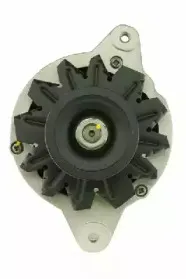 friesen-9051540