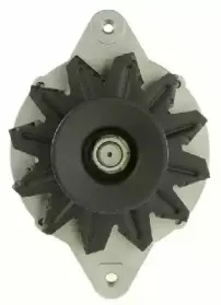 friesen-9051702