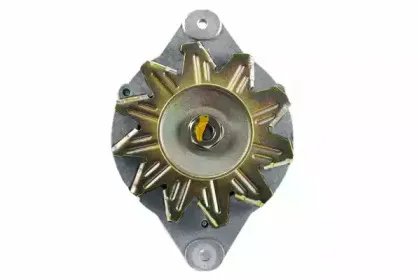 friesen-9051900