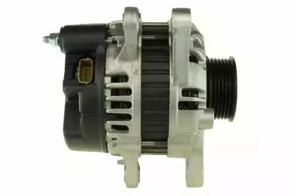 friesen-9060509
