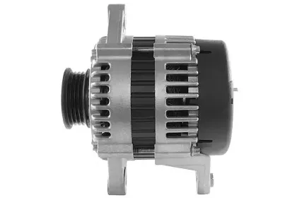 friesen-9060909