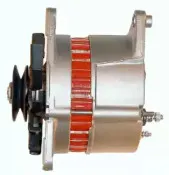 friesen-9066100