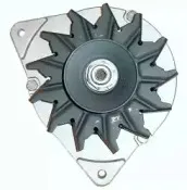 friesen-9066100