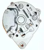 friesen-9066100