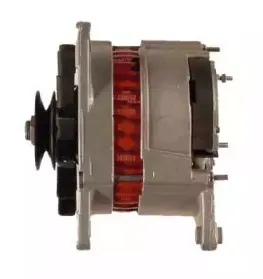 friesen-9066127