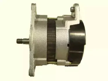 friesen-9066356