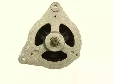 friesen-9066356