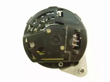 friesen-9066356