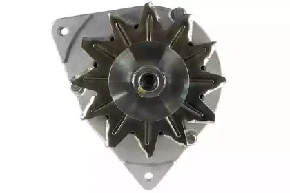 friesen-9066381