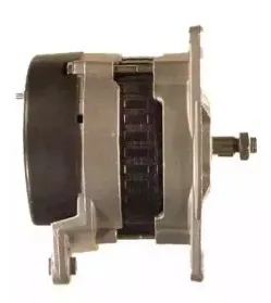 friesen-9066384
