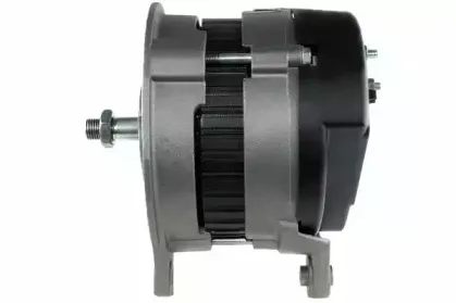 friesen-9066406