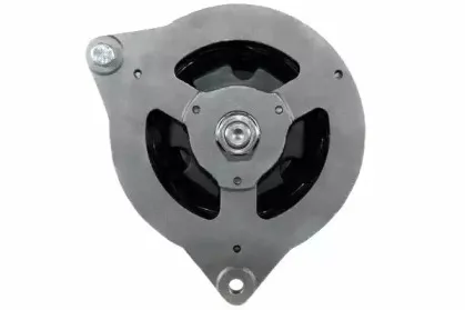 friesen-9066406