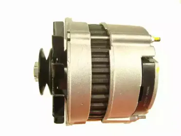 friesen-9066461