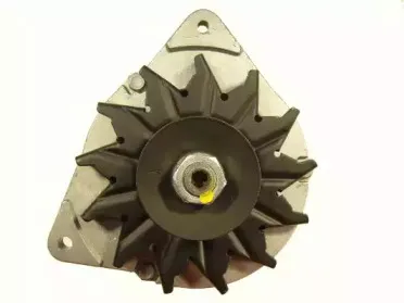 friesen-9066461