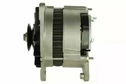 friesen-9066462