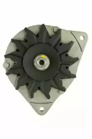 friesen-9066462