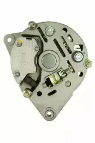 friesen-9066462
