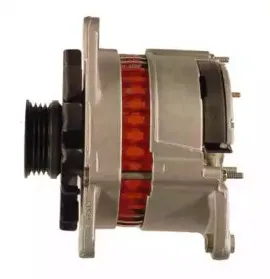 friesen-9066463