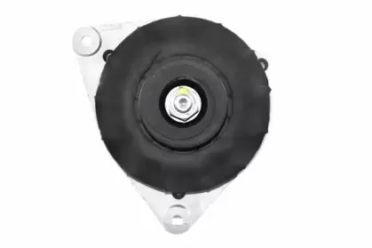 friesen-9066495