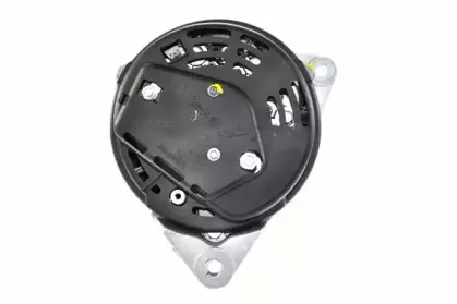 friesen-9066495