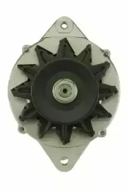 friesen-9090017