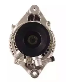 friesen-9090134