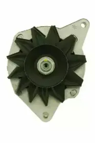 friesen-9090137