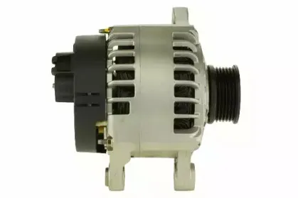 friesen-9090209