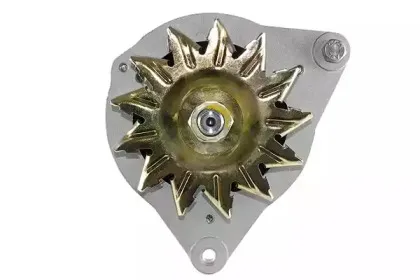 friesen-9090227