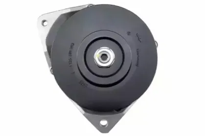friesen-9090273
