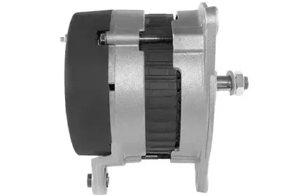 friesen-9090308
