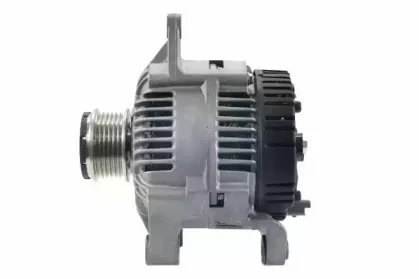 friesen-9090321