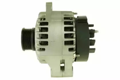 friesen-9090324