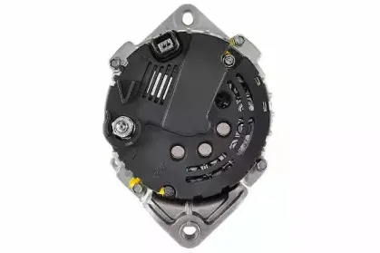 friesen-9090373
