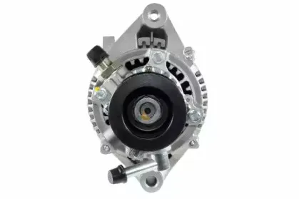 friesen-9090384