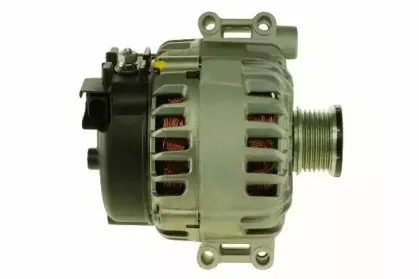 friesen-9090401