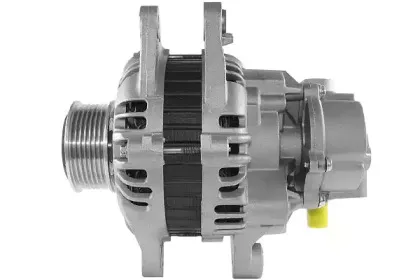 friesen-9090424