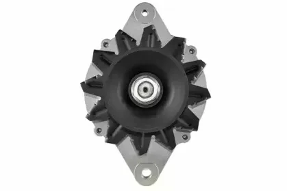 friesen-9090463