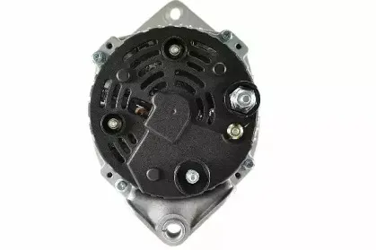 friesen-9090499