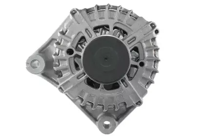 friesen-9090577